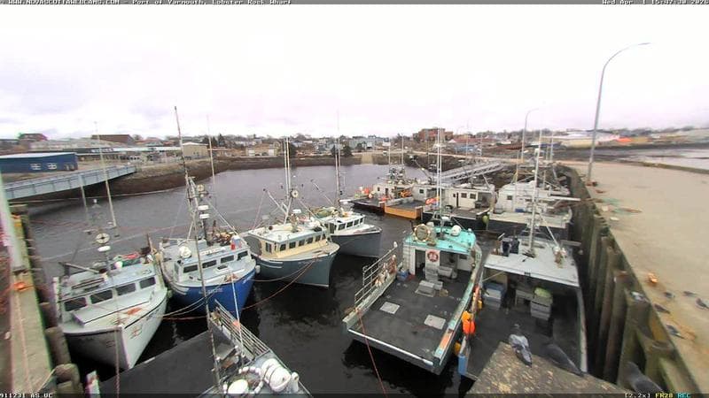 Lobster Rock Wharf East