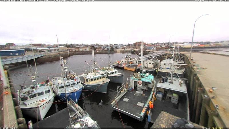 Lobster Rock Wharf East