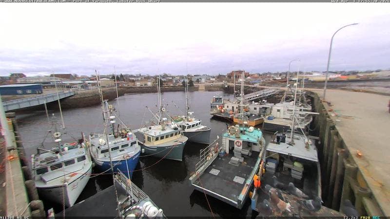 Lobster Rock Wharf East