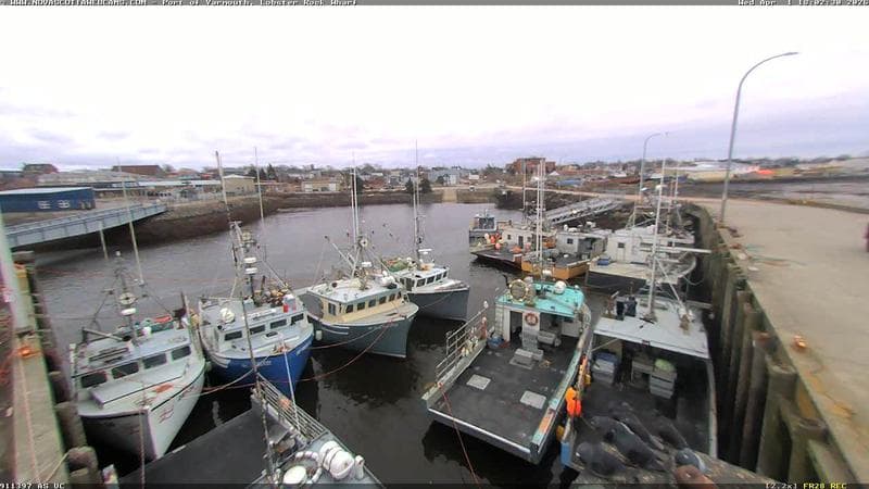 Lobster Rock Wharf East