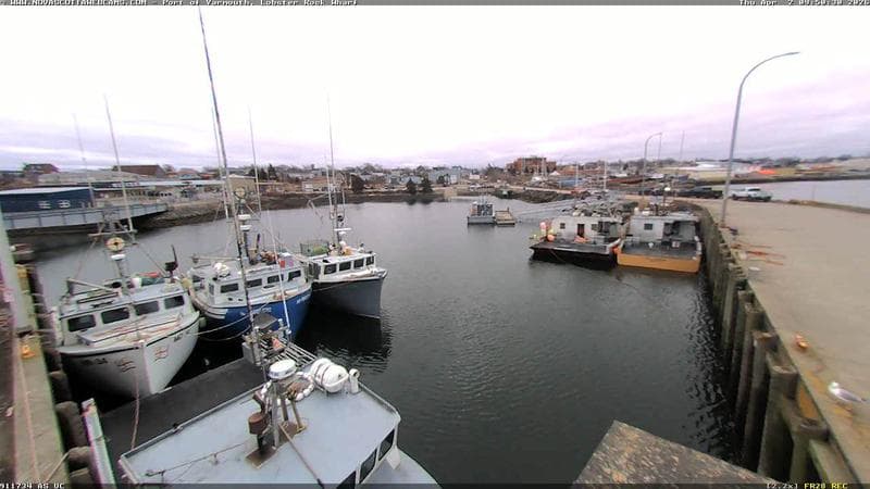 Lobster Rock Wharf East