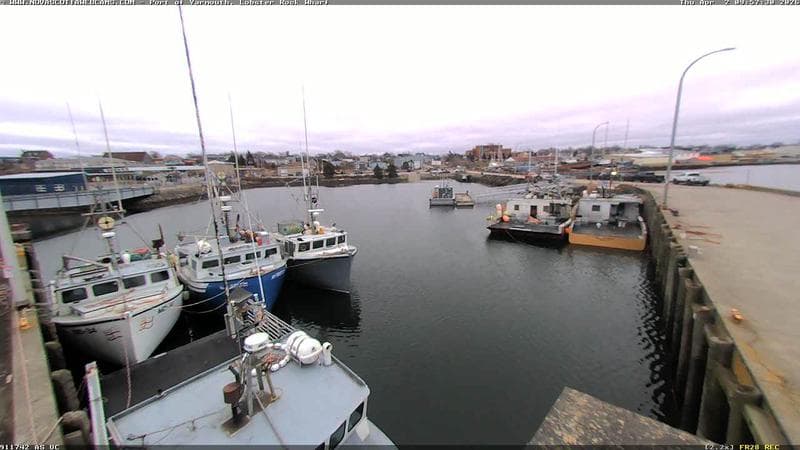 Lobster Rock Wharf East