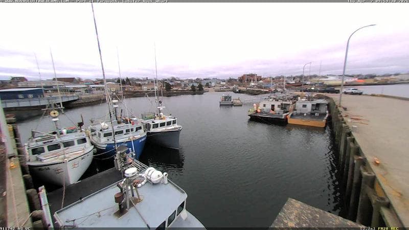 Lobster Rock Wharf East