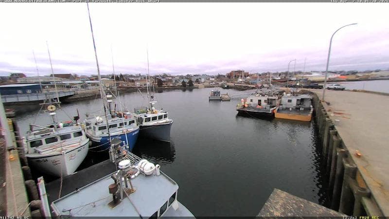 Lobster Rock Wharf East