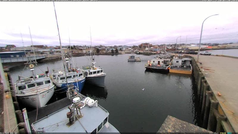 Lobster Rock Wharf East