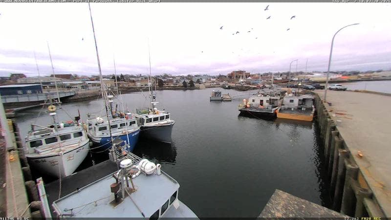 Lobster Rock Wharf East