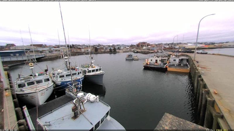 Lobster Rock Wharf East