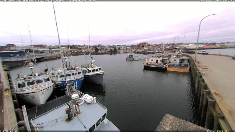 Lobster Rock Wharf East