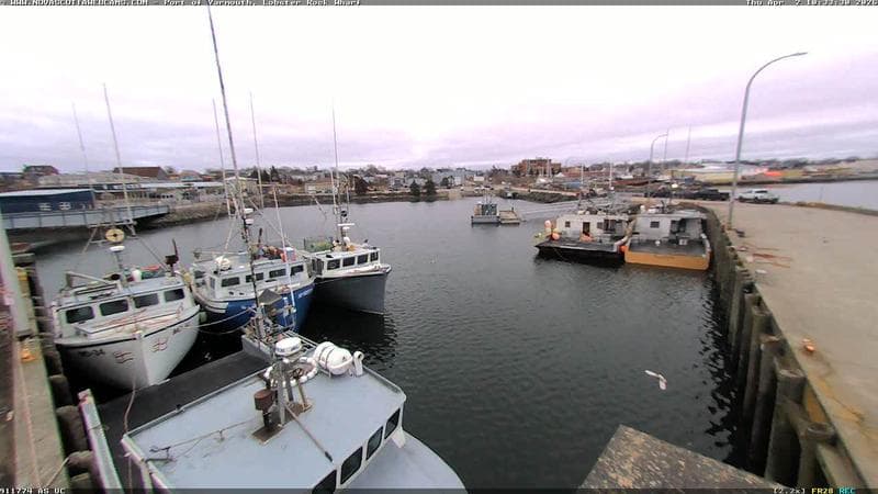 Lobster Rock Wharf East