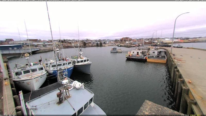 Lobster Rock Wharf East