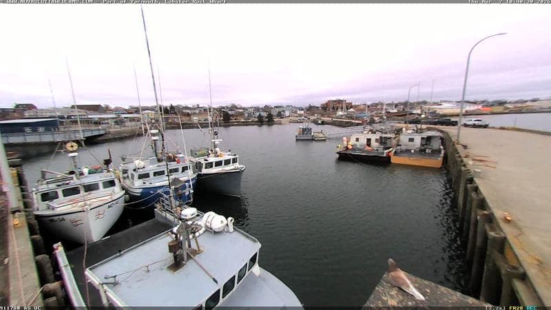 Lobster Rock Wharf East