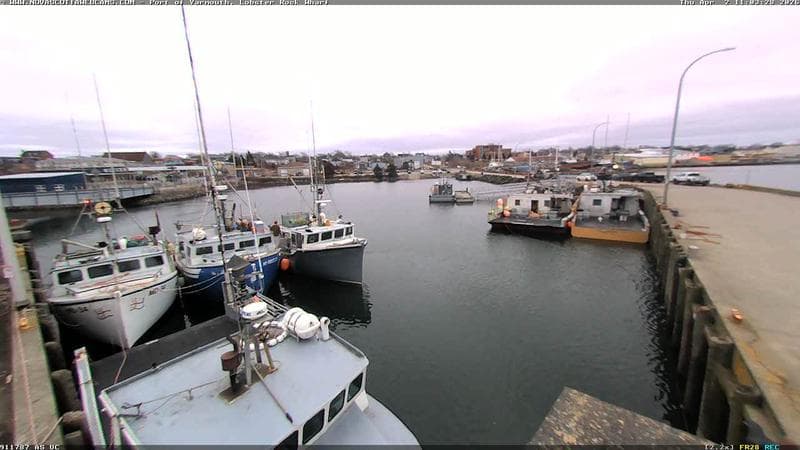 Lobster Rock Wharf East