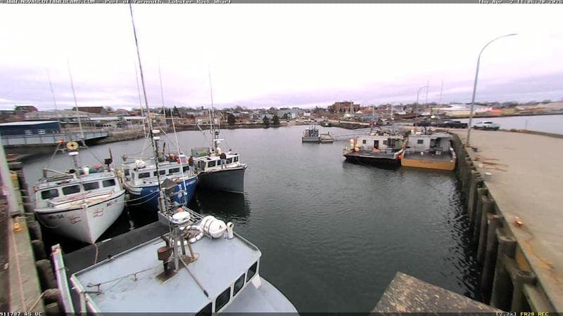 Lobster Rock Wharf East