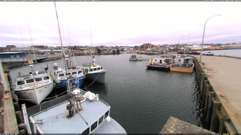 Lobster Rock Wharf East