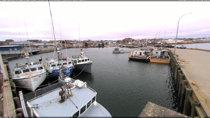 Lobster Rock Wharf East