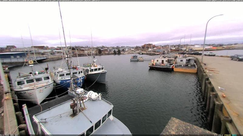Lobster Rock Wharf East