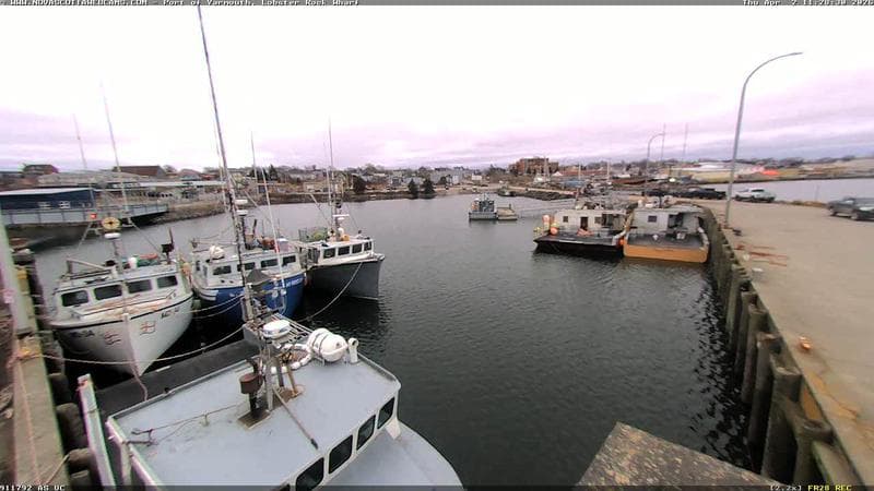 Lobster Rock Wharf East