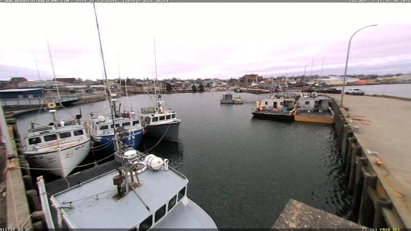Lobster Rock Wharf East