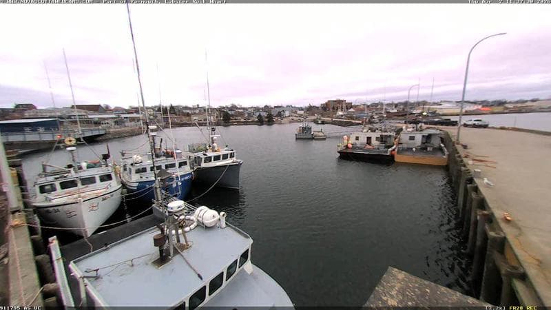 Lobster Rock Wharf East