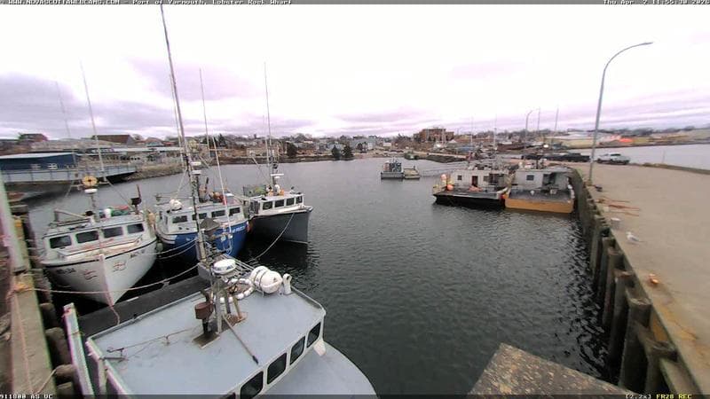 Lobster Rock Wharf East