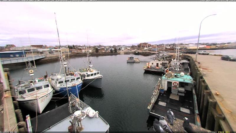 Lobster Rock Wharf East