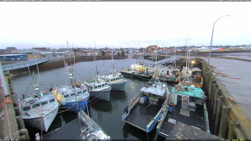 Lobster Rock Wharf East