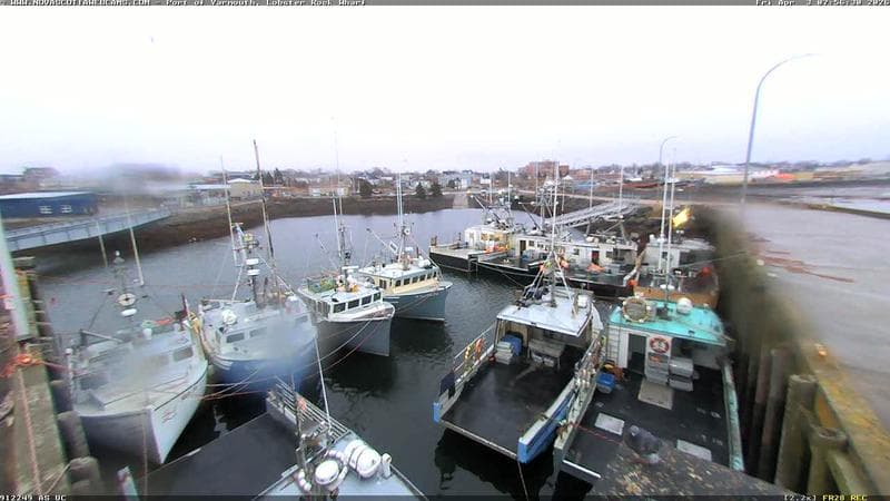 Lobster Rock Wharf East