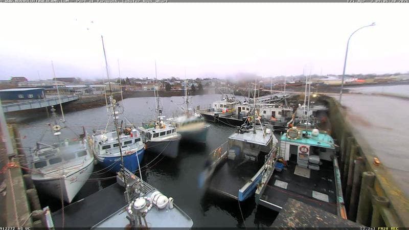 Lobster Rock Wharf East