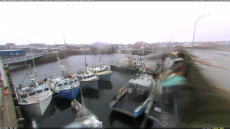 Lobster Rock Wharf East
