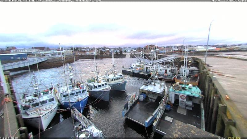 Lobster Rock Wharf East