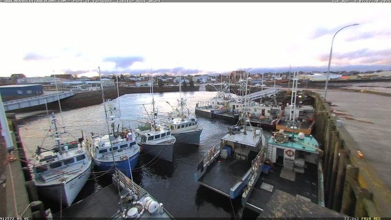 Lobster Rock Wharf East