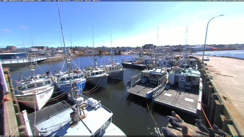 Lobster Rock Wharf East
