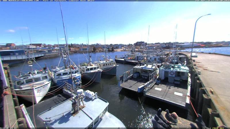 Lobster Rock Wharf East