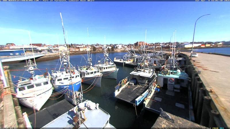 Lobster Rock Wharf East
