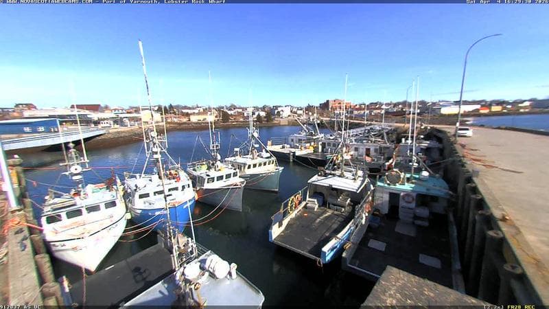 Lobster Rock Wharf East