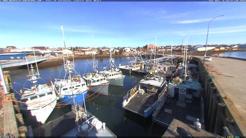 Lobster Rock Wharf East