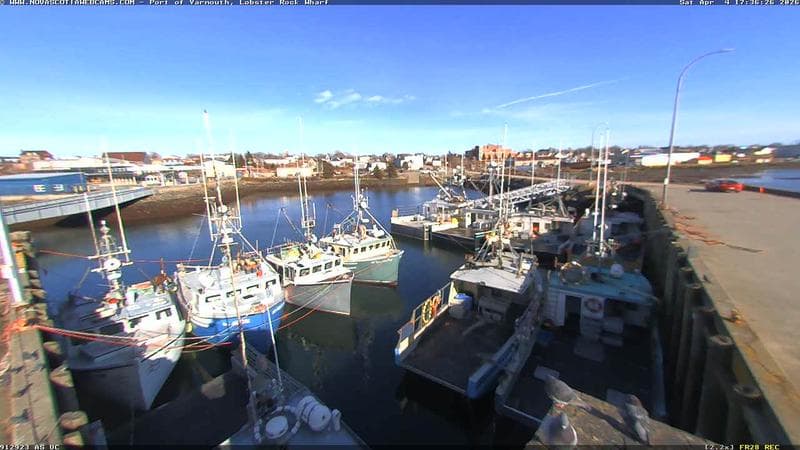 Lobster Rock Wharf East