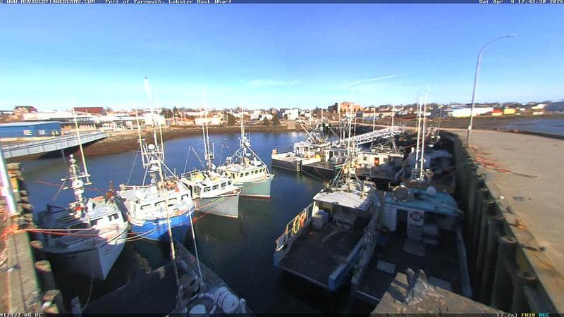 Lobster Rock Wharf East
