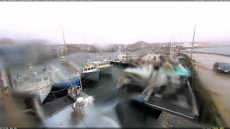 Lobster Rock Wharf East