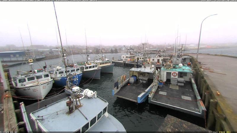 Lobster Rock Wharf East