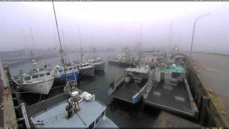 Lobster Rock Wharf East