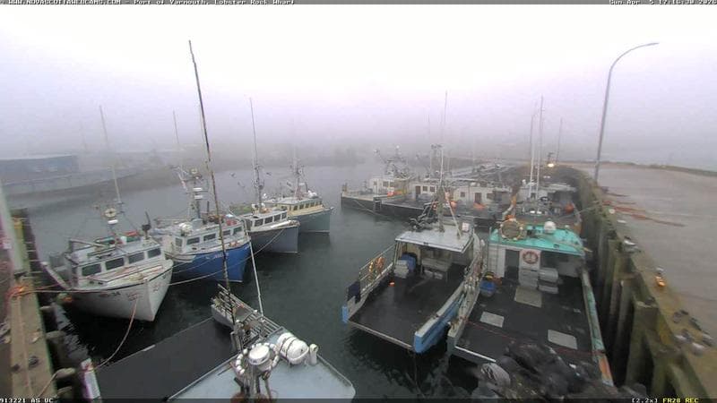 Lobster Rock Wharf East