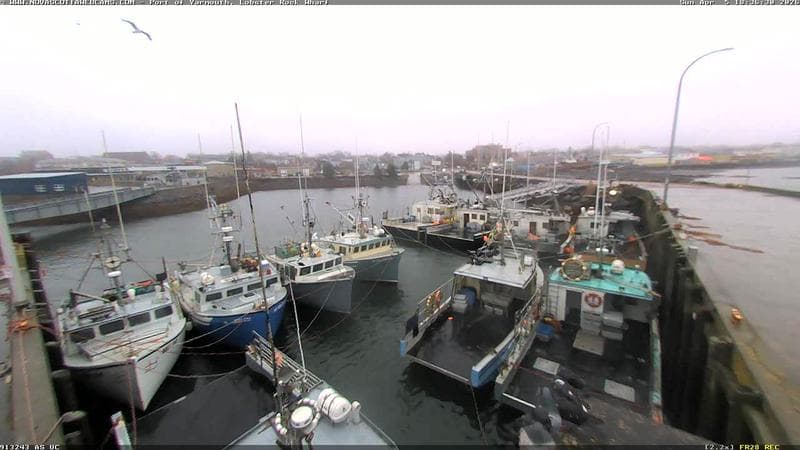 Lobster Rock Wharf East