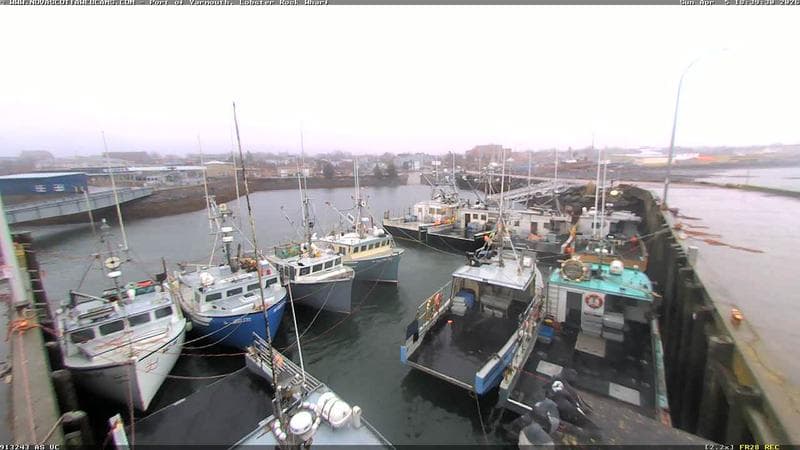 Lobster Rock Wharf East