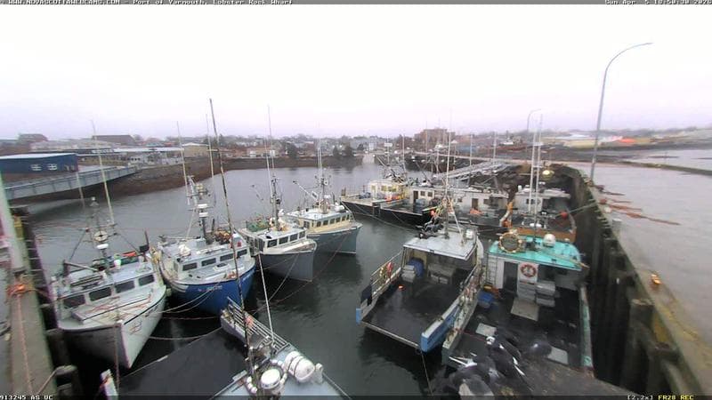 Lobster Rock Wharf East