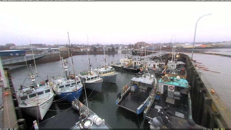 Lobster Rock Wharf East