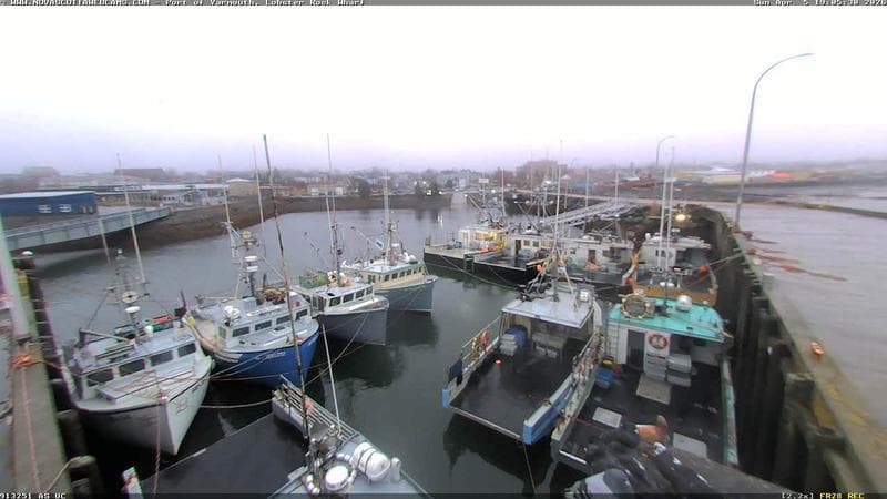 Lobster Rock Wharf East