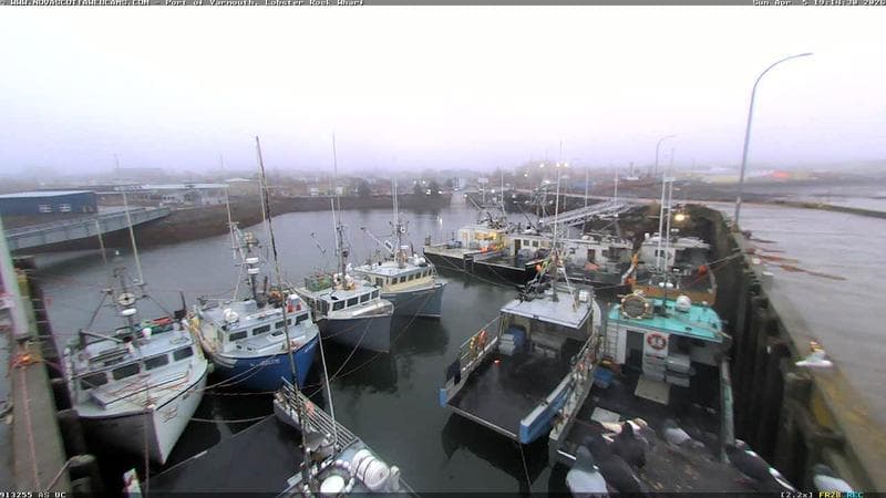 Lobster Rock Wharf East