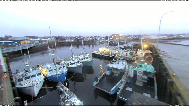 Lobster Rock Wharf East