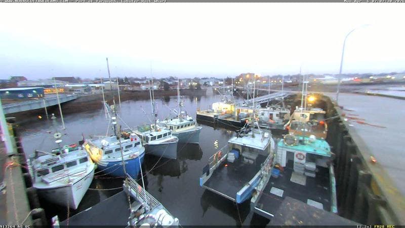 Lobster Rock Wharf East